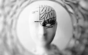 دراسة تكشف تأثير الوضع الاجتماعي على تنظيم الشهية عبر العصب المبهم