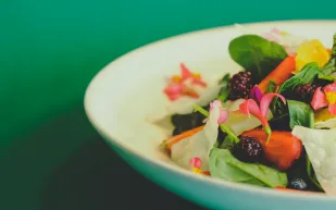 ثورة نباتية تقتحم دليل ميشلان: 5 مطاعم كسرت القواعد وكتبت تاريخًا جديدًا في عالم الطهي