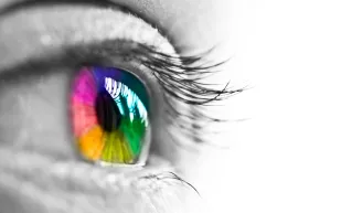 هل كنا مخطئين بشأن تطور عيون الإنسان؟ دراسة حديثة تُشكك في نظرية شائعة