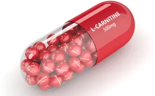 هل يحفّز مكمل L-Carnitine الإصابة بأمراض القلب؟ دراسة تُجيب