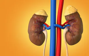 نتائج مثيرة: دراسة تكشف الرابط بين النظام النباتي وانخفاض خطر السرطان