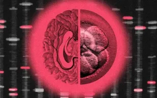 جيل خارق من الأذكياء: هل يخطط وادي السيليكون لاحتكار الذكاء؟