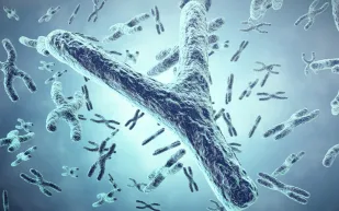 دراسة تكشف العلاقة بين فقدان الكروموسوم Y وأمراض القلب 