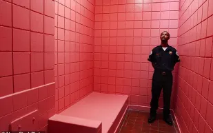 ما هو اللون الذي يعتبره العلماء الأكثر هدوءًا في العالم؟ (فيديو)