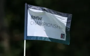 بمساعدة "حشرة".. لاعب غولف يحصد 1.45 مليون دولار (فيديو)