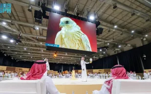 صقر "سوبر وايت" يسجل رقمًا قياسيًا جديدًا في المزاد الدولي (صور)