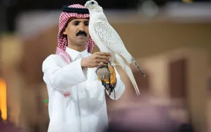 صفقة تاريخية في مزاد الصقور 2025.. بيع صقر بـمبلغ غير مسبوق