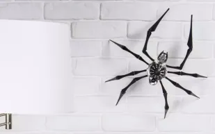 MB&F تكشف عن ساعة Arachnophobia بتصميم يحاكي العنكبوت (فيديو)