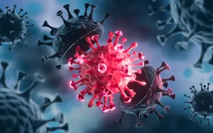 هل تنقل مقاعد المرحاض العدوى فعلًا؟.. دراسة تكشف مفاجأة 