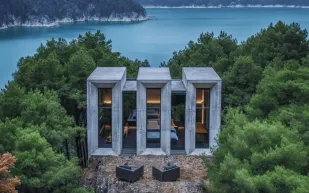 المنازل الفاخرة في قلب الغابات.. مشروع قد يغيّر مفهومك عن السكن