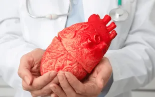 دراسة تكشف: حمية البحر المتوسط تحافظ على صحة القلب حتى مع البروتين الحيواني