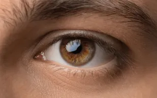 الزرقاء ليست زرقاء! حقائق مثيرة عن ألوان العيون