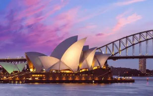 مأساة على شاطئ سيدني.. قرش يقتل رجلًا على الشاطئ (فيديو)