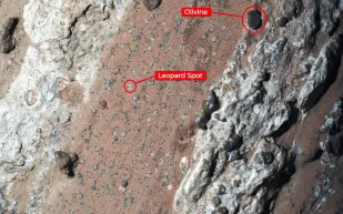 ناسا تعلن عن اكتشاف ثوري: أدلة محتملة على حياة في المريخ