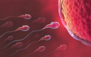 هل تعزز مكملات مضادات الأكسدة خصوبة الرجال؟ دراسة جديدة تحسم الأمر