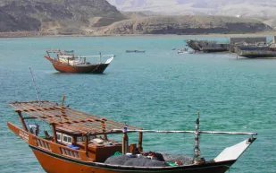 لحظة مرعبة: هجوم الحيتان القاتلة يتسبب بغرق يخت سياحي