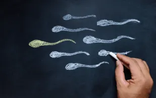 مع التقدم في العمر: هل يتوقف إنتاج الحيوانات المنوية فعلًا؟