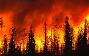 تقرير دولي يكشف: تغير المناخ يقتل شخصًا كل دقيقة