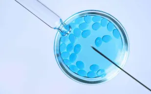 هل حُلت عقدة العقم عند الرجال؟ دراسة تكشف علاجًا واعدًا