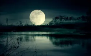 ليلة القمر العملاق: بدر الحضيض يزين سماء نوفمبر