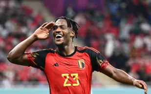 لاعب تشيلسي السابق يبحث عن قط متبرع بالدم لإنقاذ حيوانه الأليف