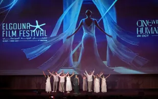 مهرجان الجونة يستقبل العرض الأول لفيلم "السادة الأفاضل"