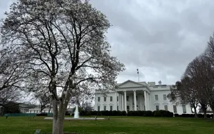 ترامب يعلن بدء هدم الجناح الشرقي في البيت الأبيض لبناء قاعة احتفالات فاخرة