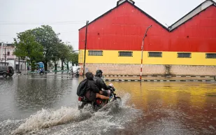 تحذيرات من تماسيح تسبح في شوارع جامايكا بعد إعصار ميليسا (فيديو) 