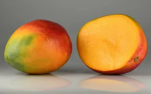 هل يساعد المانغو في الوقاية من السكري؟ دراسة تجيب