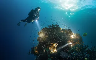 برؤية 2030... السعودية ترسم ملامح مستقبل السياحة الفاخرة على سواحل البحر الأحمر