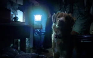 قبل عرضه في دور السينما السعودية.. تعرف على قصة وأبطال فيلم Good Boy