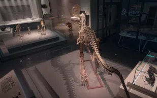 روبوت يشبه الديناصور يتنفس ويتحدث.. أحدث ابتكارات الصين في الذكاء الاصطناعي (فيديو)