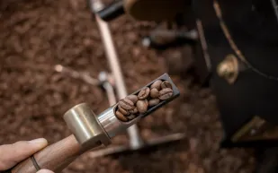 في اليوم العالمي للقهوة: استكشف أغلى أنواعها وطرق إنتاجها الفريدة