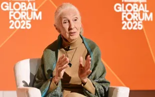  ليوناردو دي كابريو يودّع جين غودال بعد وفاتها بكلمات مؤثرة