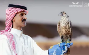 مزاد الصقور السعودي.. بيع شاهين فرخ بسعر 105 آلاف ريال في الرياض