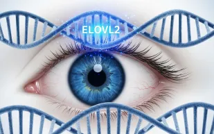 هل اقترب البشر من علاج فقدان البصر المرتبط بتقدم العمر؟ دراسة حديثة تفجر مفاجأة