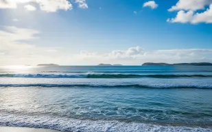 انشقاق الأرض في المحيط الهادئ.. ظاهرة نادرة تكشف "موت" قاع المحيط