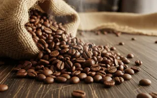 مؤسس ستاربكس يشيد بجودة البن الخولاني: القهوة السعودية تستحق التقدير الدولي (فيديو)