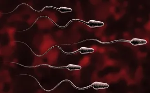 كيف يؤثر كوفيد على الصحة الإنجابية؟ دراسة جديدة تثير القلق