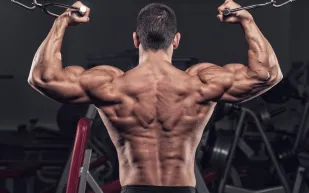 لن تتصور النتيجة.. دراسة تكشف التمرين الأفضل لتضخيم البايسبس