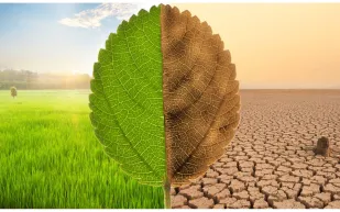 الأرض تفقد توازنها الشمسي: ناسا تكشف الخطر على الشمال والجنوب