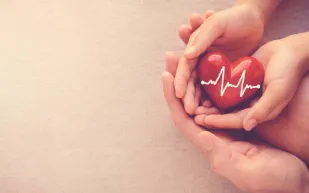 دراسة تكشف أسرار نبضات القلب وتأثيرها على اللياقة والصحة