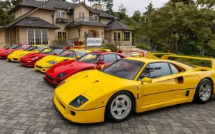 من الكاتشب إلى الخضروات.. أغرب تصنيف لمجموعة فيراري على الإطلاق