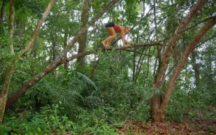 التمرين الأغرب في عالم اللياقة 2025.. هل الركض على أربع يستحق التجربة؟