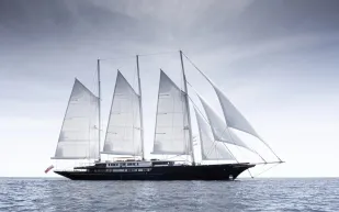 تقنية مستوحاة من ذيل الحوت تقلل انبعاثات يخت جيف بيزوس بـ300 طن (فيديو)