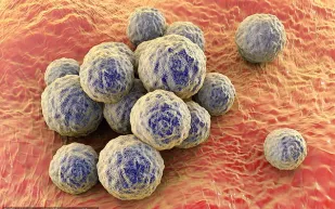 تجربة مرعبة: مستويات بكتيريا مقلقة في حمامات الجيم تكشفها تجربة بسيطة! (فيديو) 