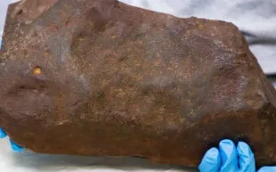 صخرة عادية تتحول إلى اكتشاف بقيمة مليارات الدولارات في أستراليا