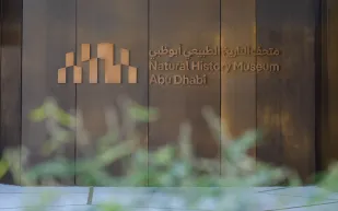 متحف التاريخ الطبيعي أبوظبي.. رحلة عبر 13.8 مليار عام من تاريخ الكون