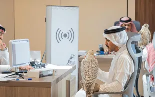 انطلاق تسجيل المشاركات في مهرجان الملك عبدالعزيز للصقور 2025