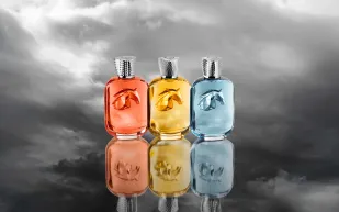 بين وداع الخريف ولقاء الشتاء: نفحات سمفونية عميقة ودافئة